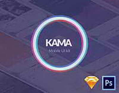 Шадаев ждет новых мер господдержки для IT-компаний